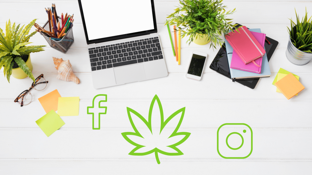 Cannabis Business Social Network