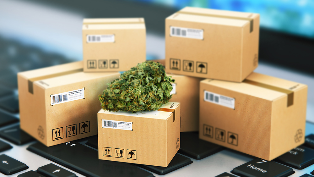 Blaze Weed Delivery