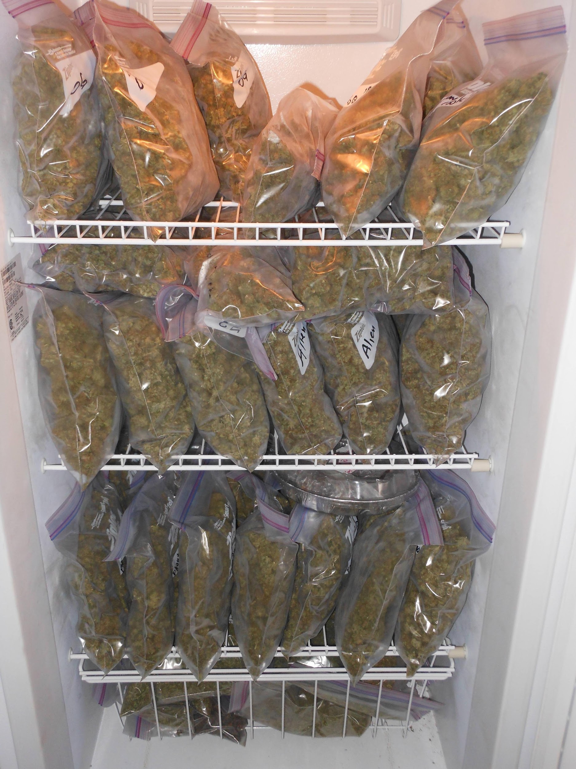 Store Weed In The Freezer