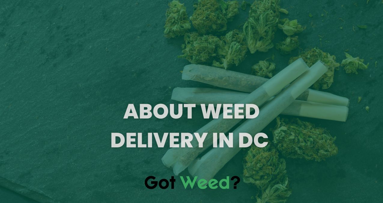 About Weed Delivery In DC