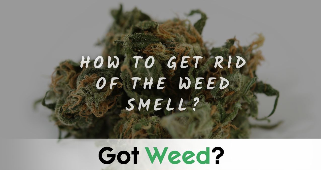 How to get rid of the weed smell