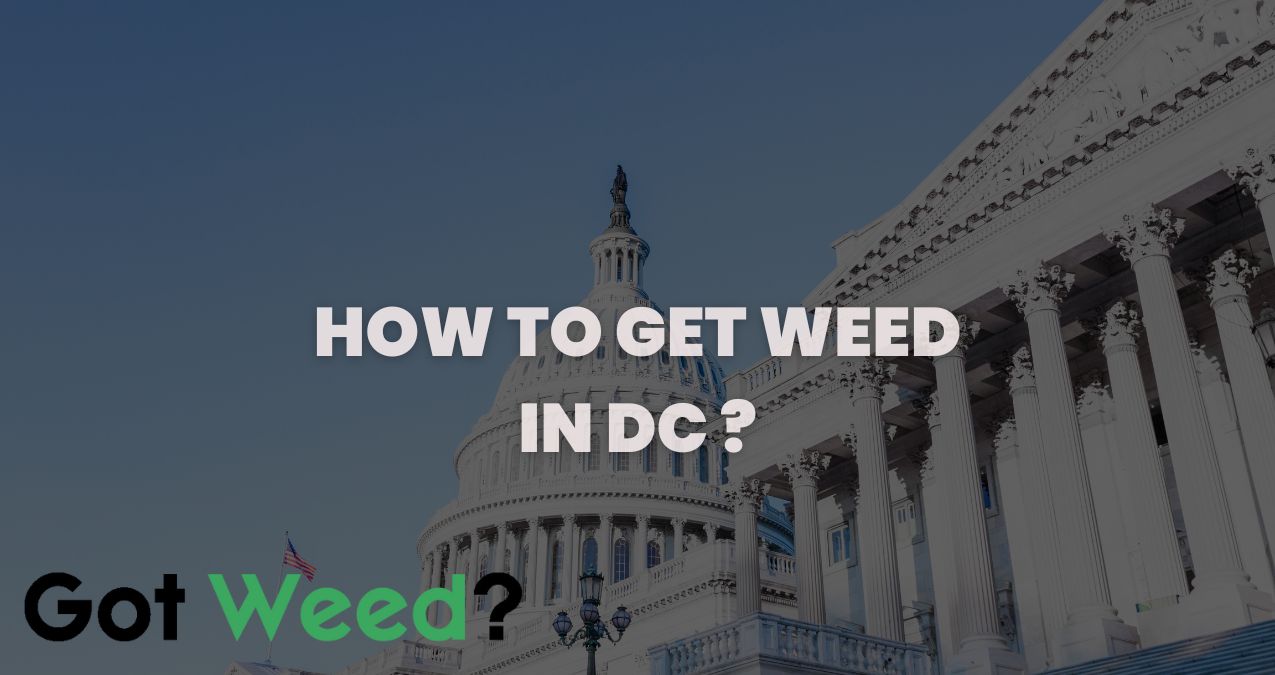 How to get weed in dc
