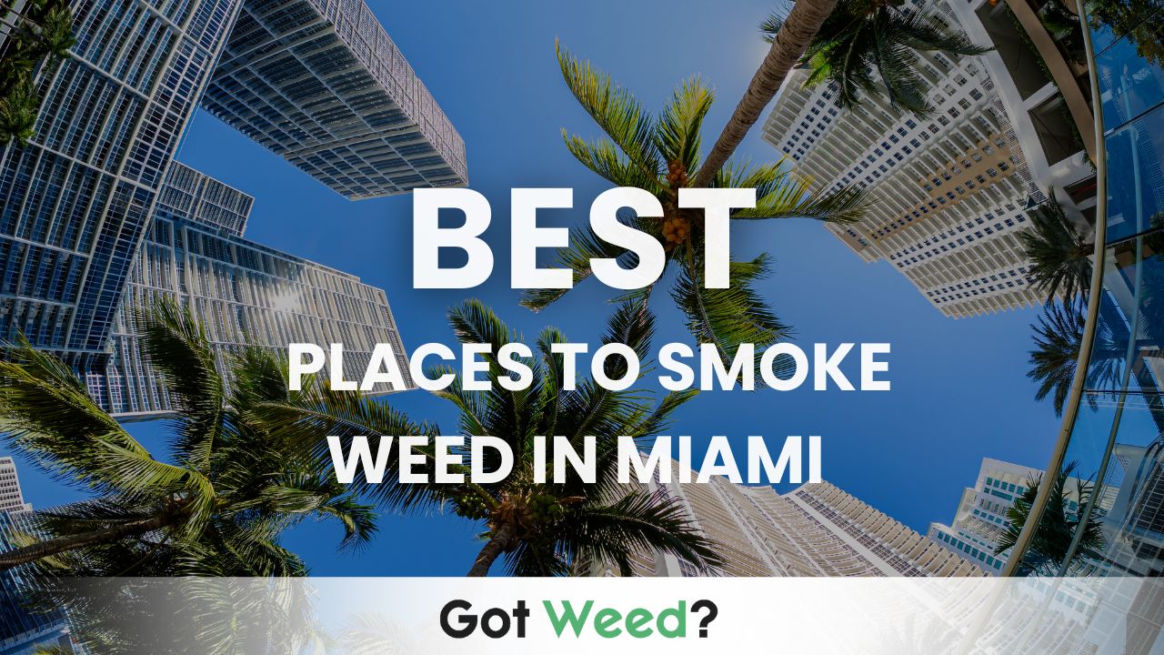 Best Places to Smoke Weed in Miami