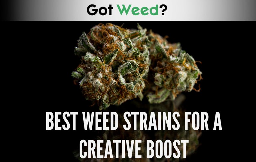 Best Weed Strains for a Creative Boost