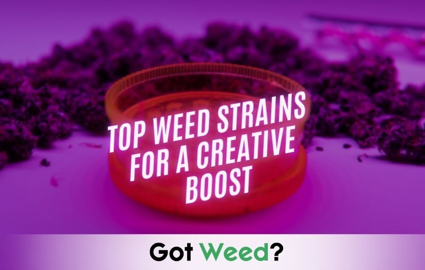 top Weed Strains for a Creative Boost