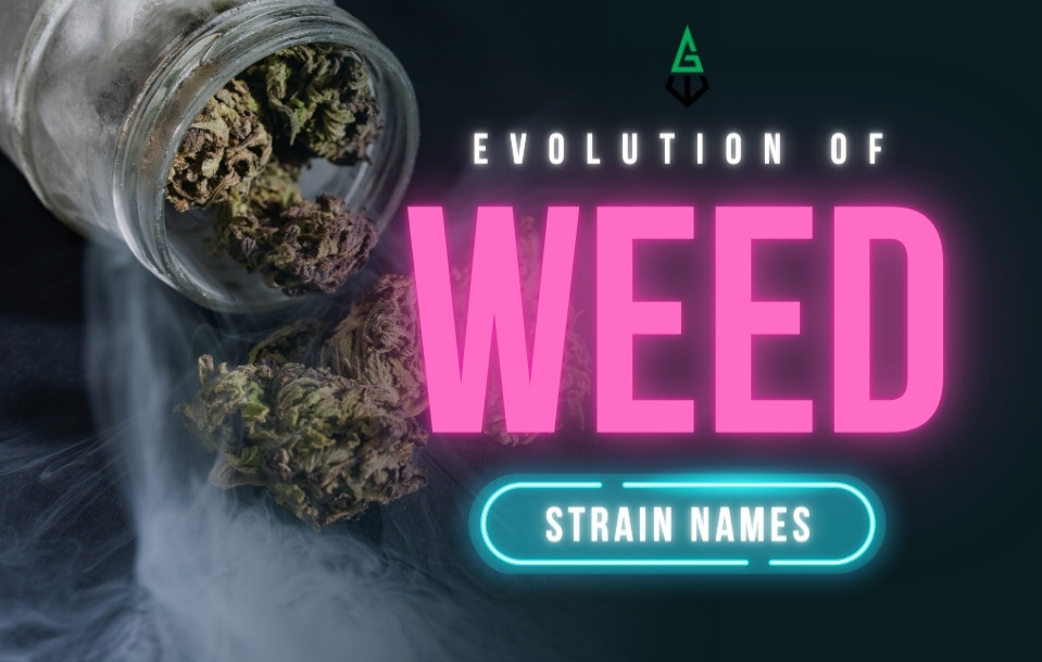 EVOLUTION OF WEED STRAIN NAMES