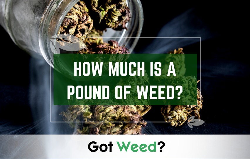 How Much is a Pound of Weed?