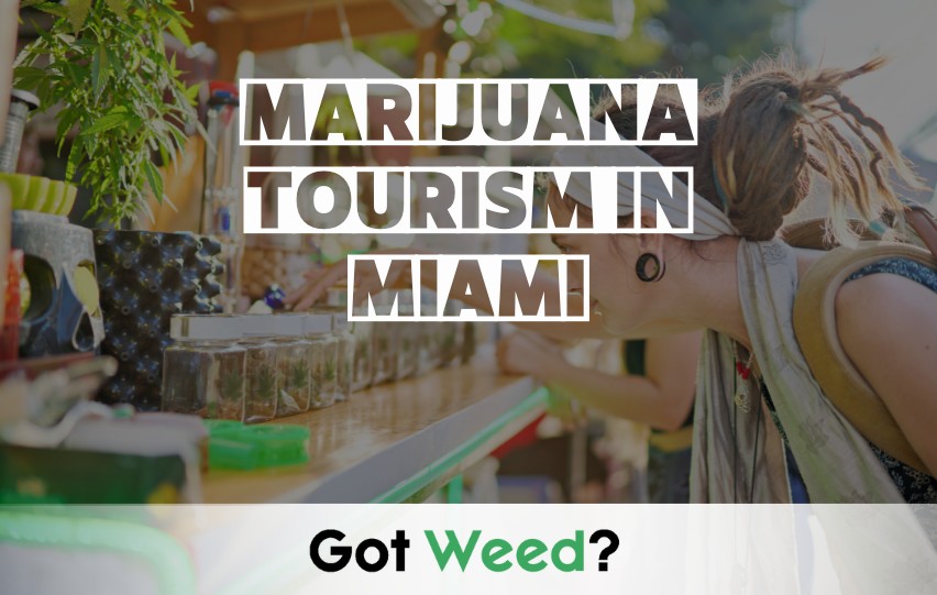 Marijuana tourism in Miami