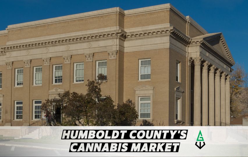 Humboldt County's Cannabis Market